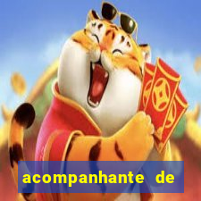 acompanhante de luxo em cruz das almas